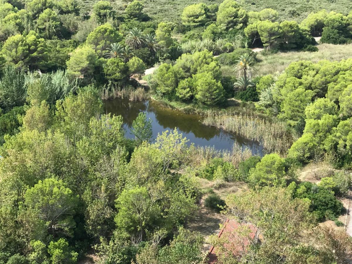 Gran Apartamento, Un Lujo En Playa El Saler - Valencia Buitenkant foto